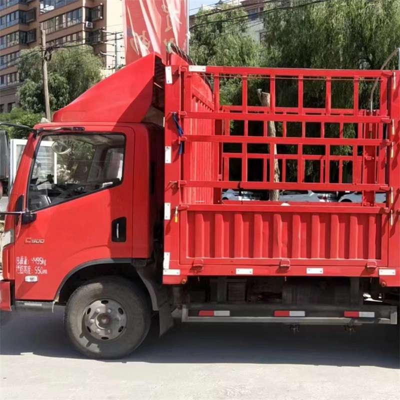 平和县罗湖区物流：多元运输服务与线路探秘